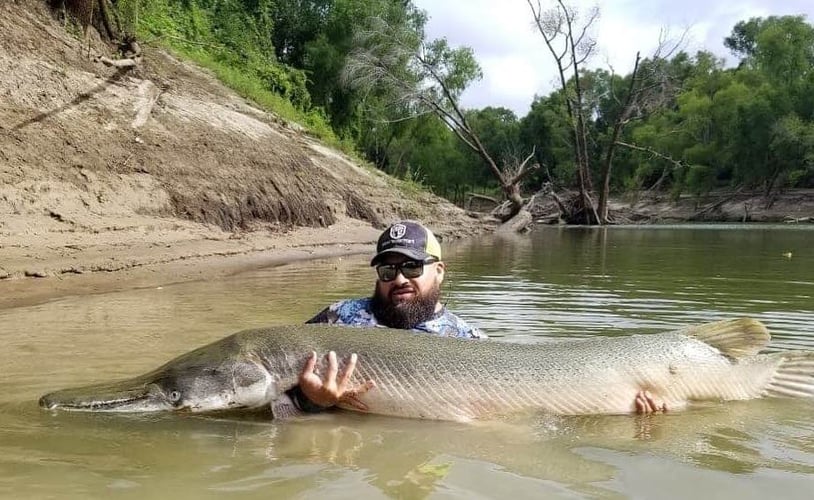 Garzilla Gar Fishing Near Palestine In Palestine