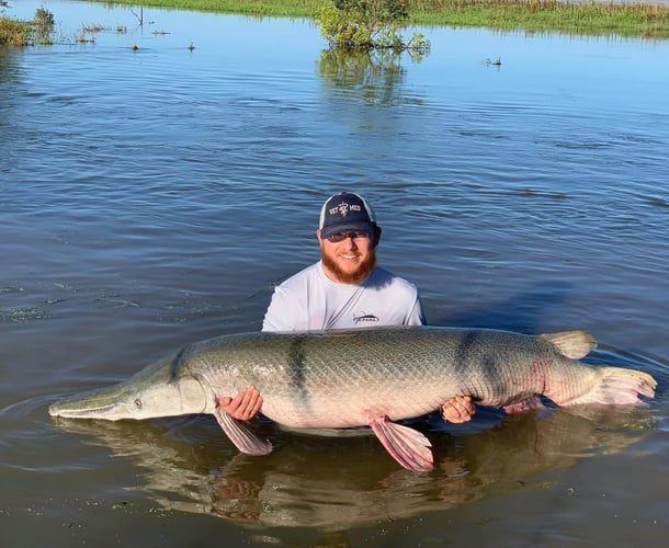 Garzilla Gar Fishing Near Palestine In Palestine