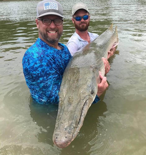 South Texas Alligator Gar Fishing In Dallas