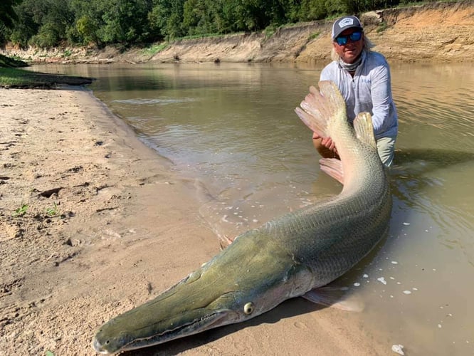 South Texas Alligator Gar Fishing In Dallas