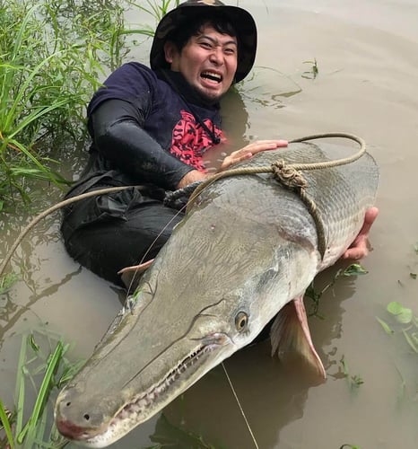 Garzilla Gar Fishing Near Palestine in Palestine