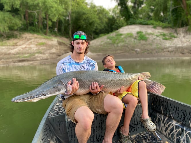 Garzilla Gar Fishing Near Palestine in Palestine