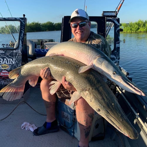 Garzilla Gar Fishing Near Palestine in Palestine