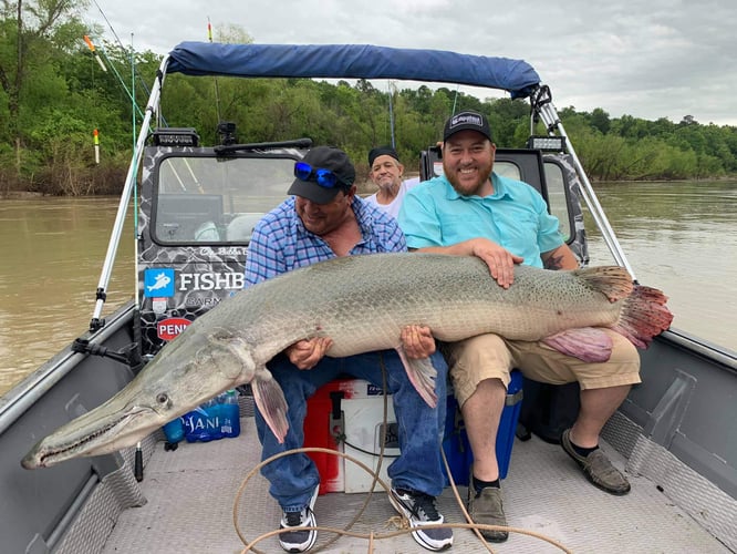 South Texas Alligator Gar Fishing In Zapata