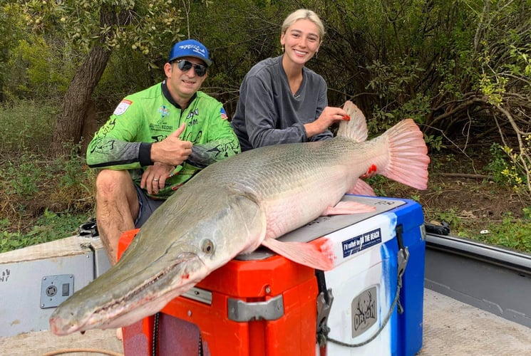 South Texas Alligator Gar Fishing In Dallas