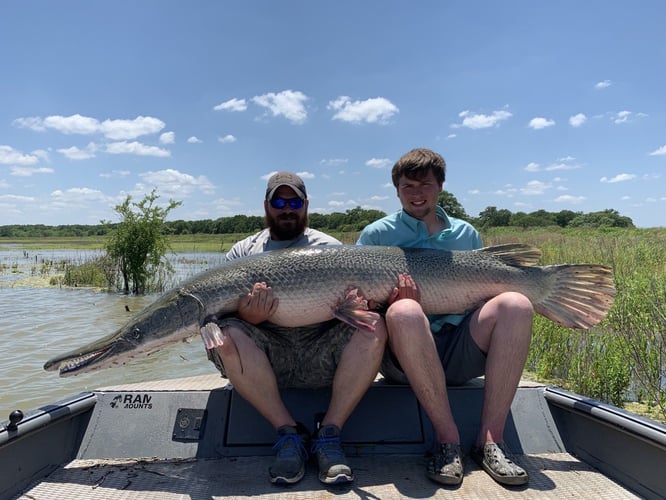 Garzilla Gar Fishing Near Palestine in Palestine