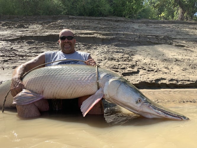 Garzilla Gar Fishing Near Palestine in Palestine