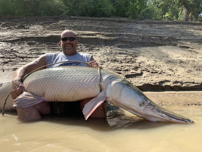 Garzilla Gar Fishing Near Palestine In Palestine