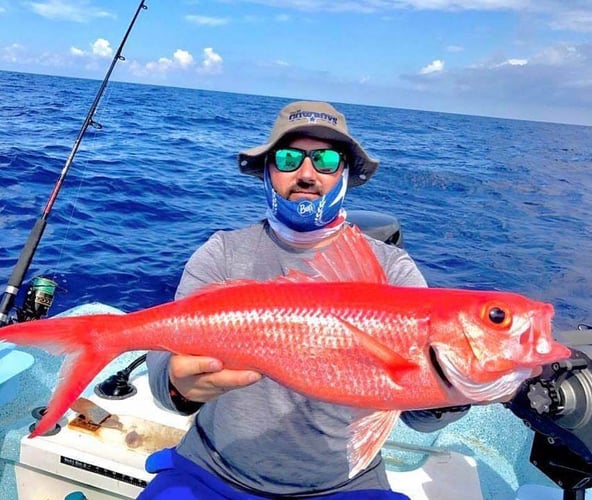 Cancun Big Game - 25' Panga In Cancún