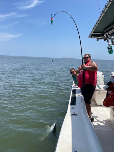 Trophy Thrills With Captain Shannon In Galveston