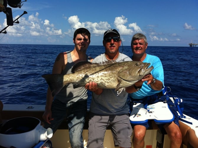 Full Day Offshore (20-50 mi.) in Galveston