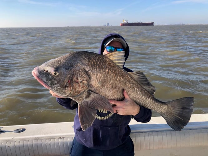 Full Day Offshore (20-50 mi.) in Galveston