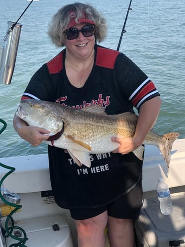 Big Redfish On The Jetty In Galveston