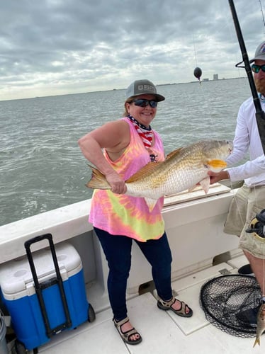 Big Redfish On The Jetty In Galveston