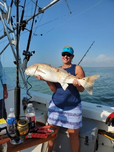 Big Redfish On The Jetty In Galveston