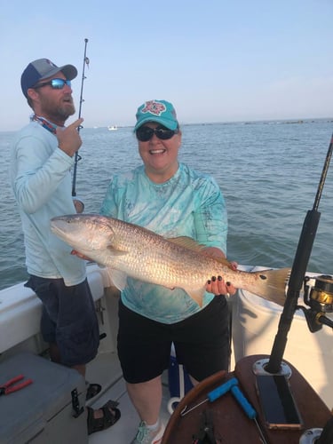 Big Redfish On The Jetty In Galveston