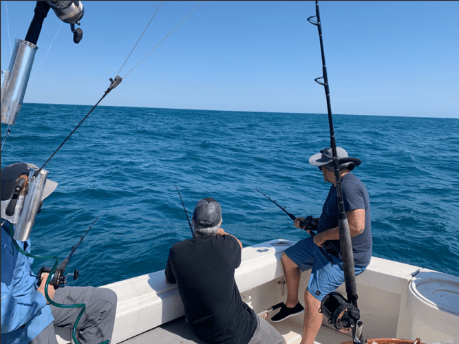 Galveston Deep Sea Trophy Fishing in Galveston