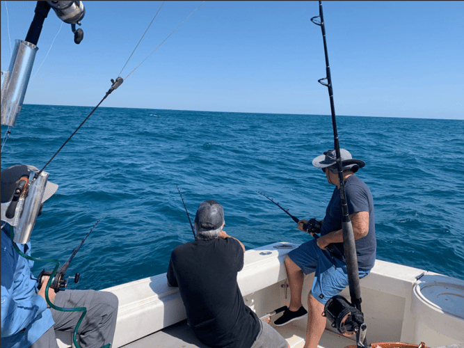 Galveston Deep Sea Trophy Fishing Blackjack2 In Galveston