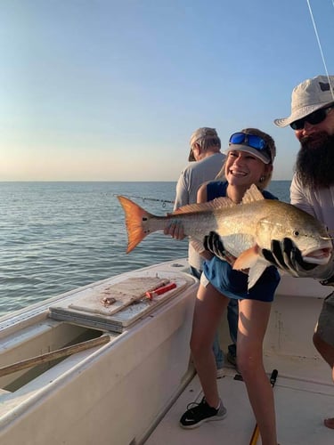 Big Redfish On The Jetty In Galveston