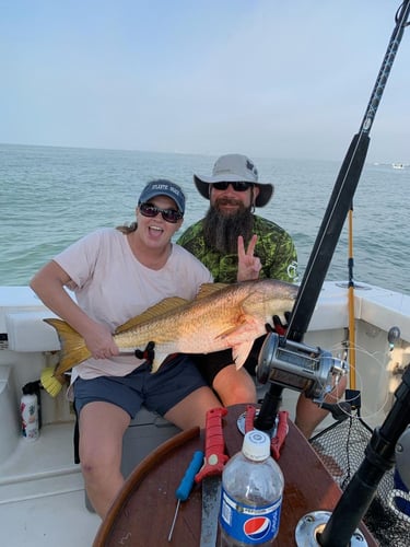 Big Redfish On The Jetty In Galveston