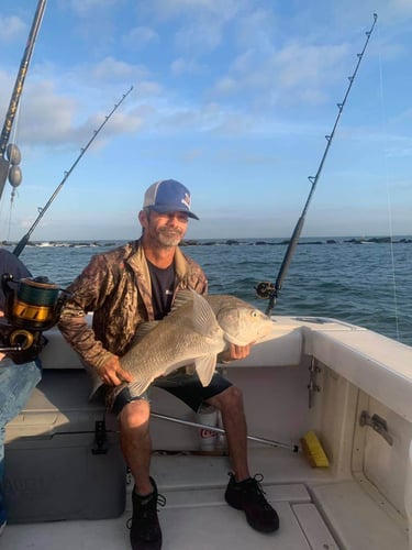 Big Redfish On The Jetty In Galveston