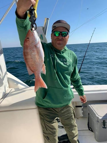 Galveston Deep Sea Trophy Fishing in Galveston