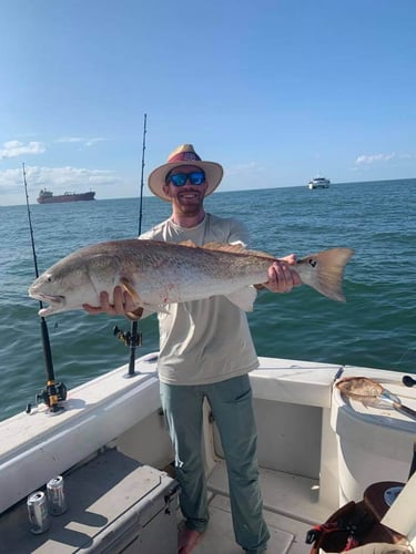 Big Redfish On The Jetty In Galveston