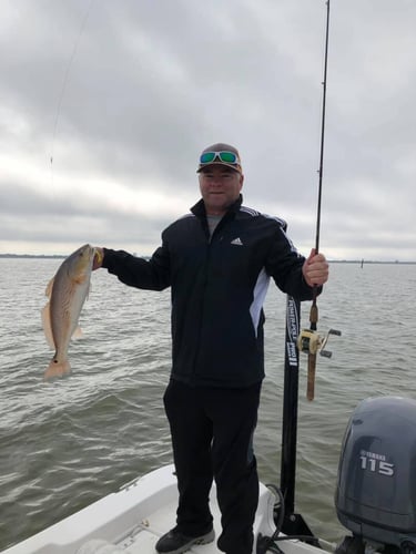 Texas City On Light Tackle In Texas City