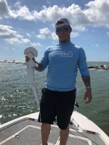 Shark Quest With Captain Derek In Texas City