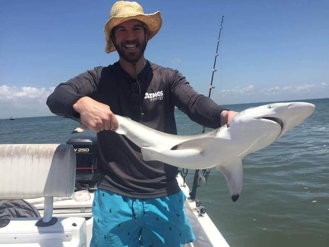 Shark Quest With Captain Derek In Texas City
