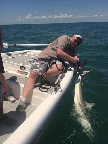 Shark Quest With Captain Derek In Texas City