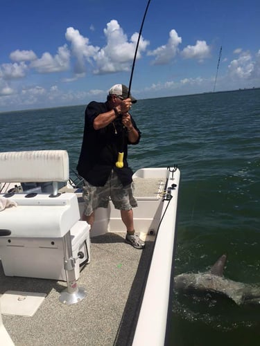 Shark Quest With Captain Derek In Texas City