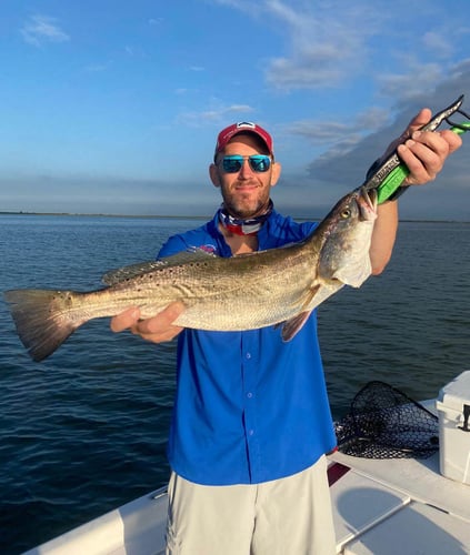 Texas City Hook-Up In Texas City