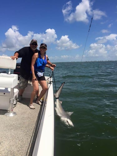 Shark Quest With Captain Derek In Texas City