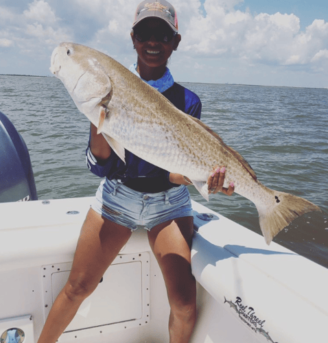 Sabine Lake Trout & Redfish In Deer Park