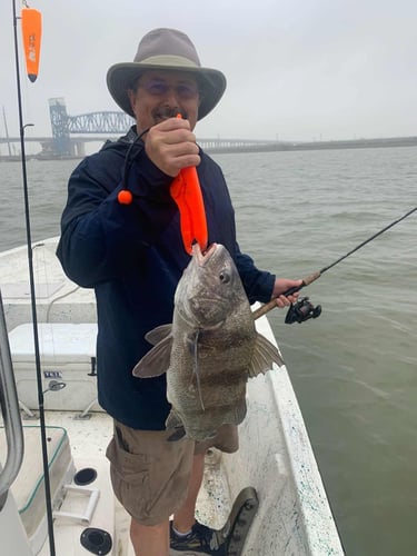 Galveston Bay Trout/Redfish In Galveston