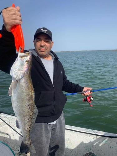 Galveston Bay Trout/Redfish In Galveston