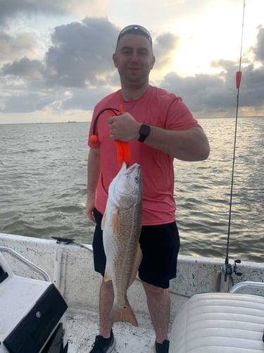 Galveston Bay Trout/Redfish In Galveston