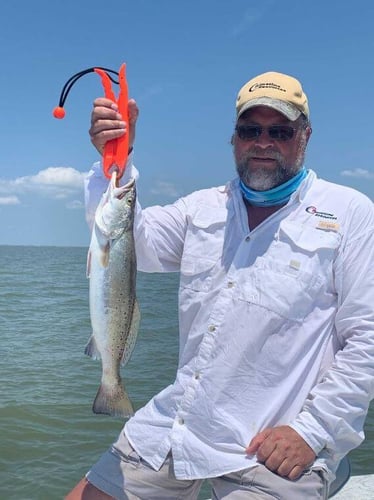 Galveston Bay Trout/Redfish In Galveston