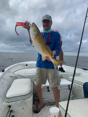 Sabine Lake Trout & Redfish In Deer Park