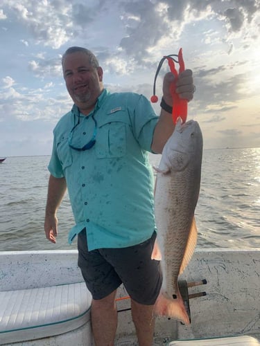 Galveston Bay Trout/Redfish In Galveston