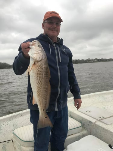 Galveston Bay Trout/Redfish In Galveston