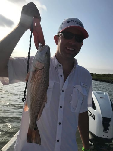 Galveston Bay Speckled Trout and Redfish