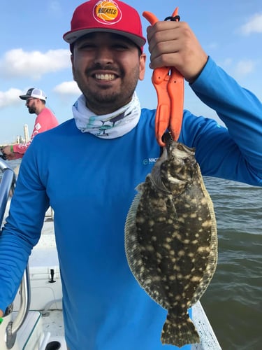 Sabine Lake Trout & Redfish In Deer Park