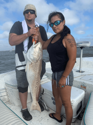 Sabine Lake Trout & Redfish In Deer Park