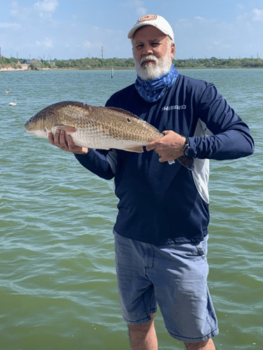 Galveston Bay Trout/Redfish In Galveston