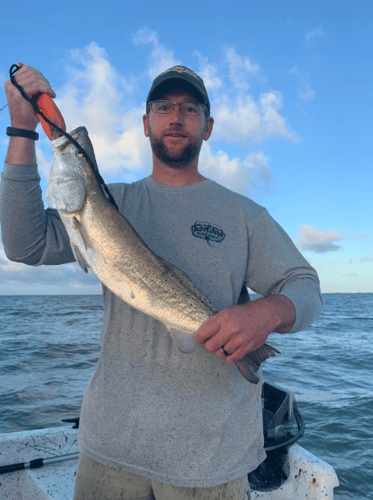 Galveston Bay Speckled Trout and Redfish