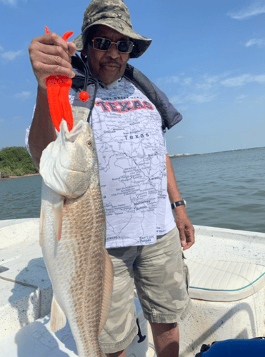 Sabine Lake Trout & Redfish In Deer Park