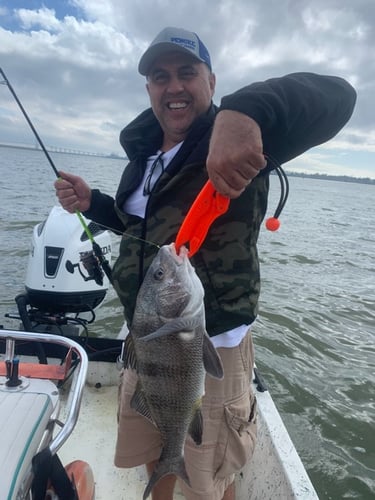 Sabine Lake Trout & Redfish In Deer Park