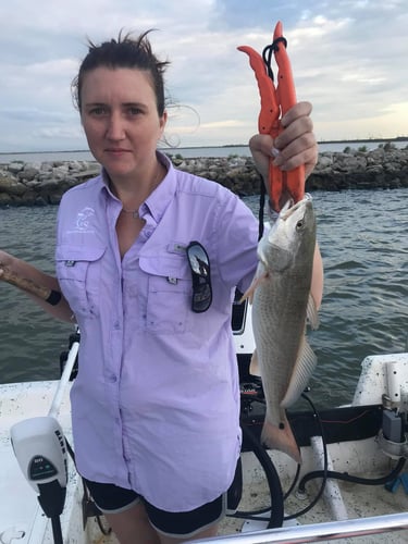 Galveston Bay Trout/Redfish In Galveston